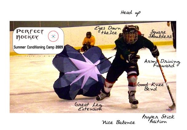 Perfect Hockey | 18 Park Ridge Crescent NW, Edmonton, AB T6P 1E9, Canada | Phone: (780) 231-1040
