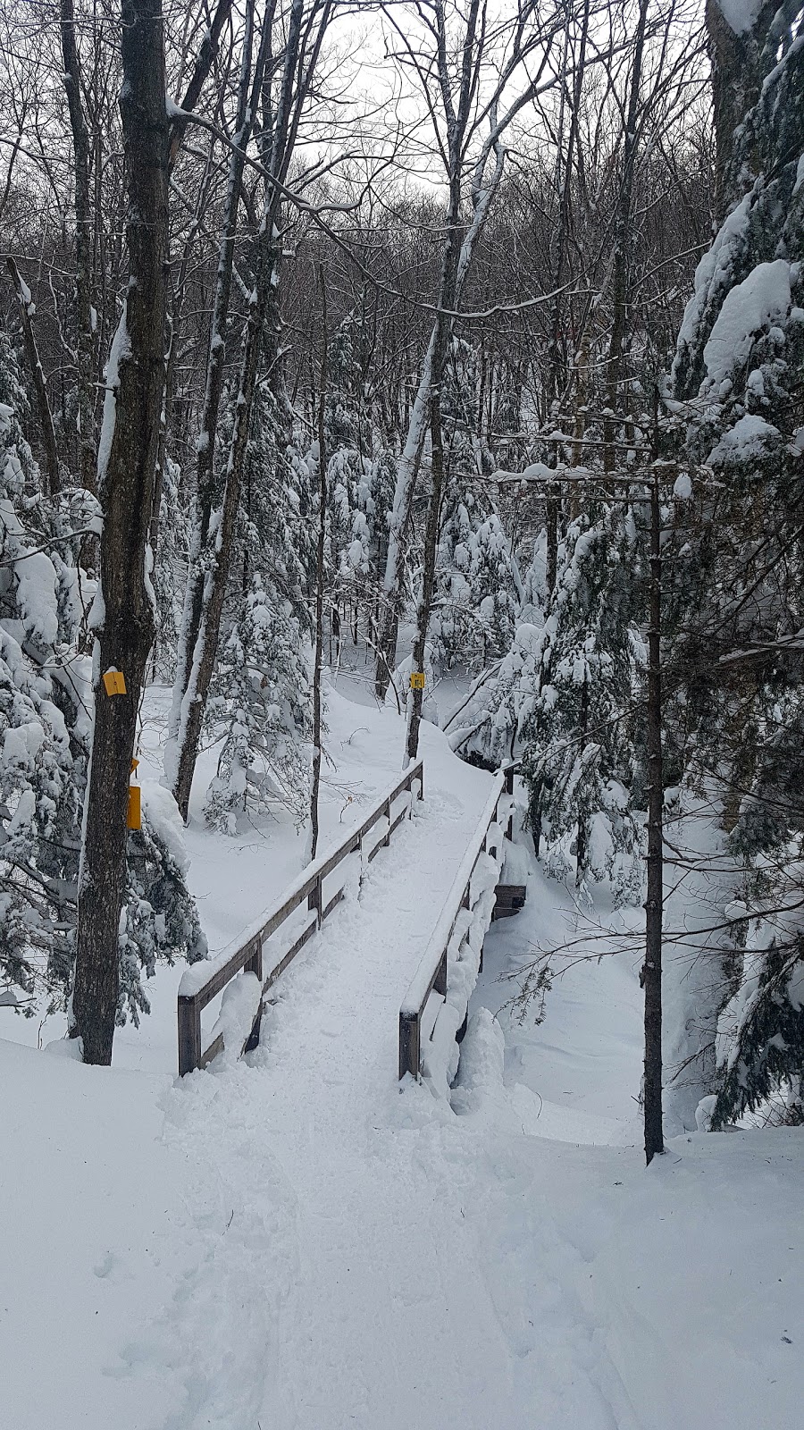 Parc denvironnement naturel de Sutton | 900 Chemin Réal, Sutton, QC J0E 2K0, Canada | Phone: (450) 538-4085