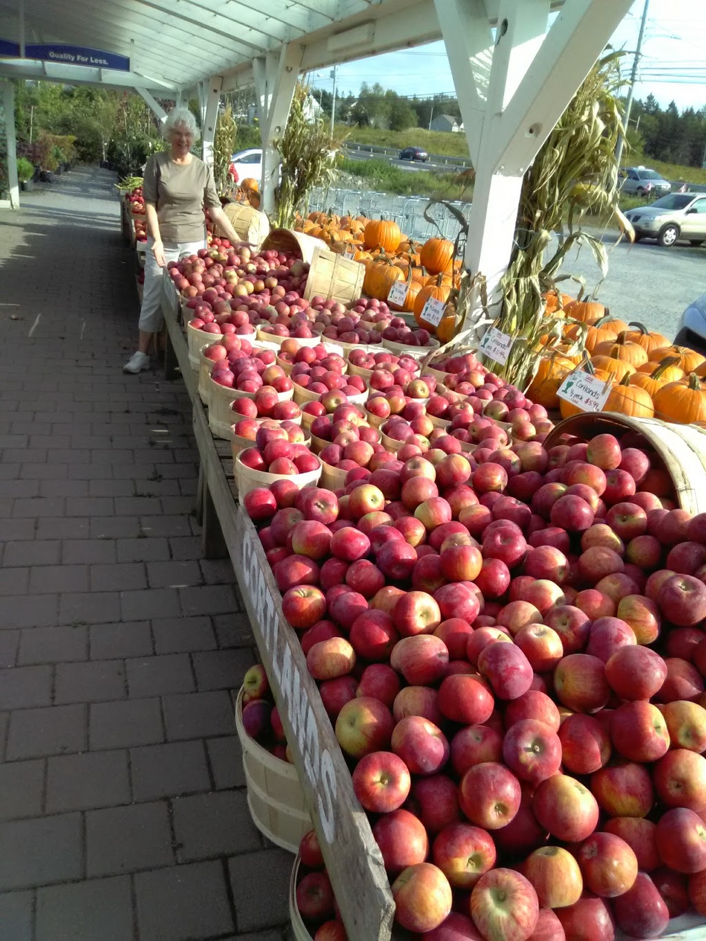 Farmer Clems | 1447 Hammonds Plains Rd, Hammonds Plains, NS B4B 1P6, Canada | Phone: (902) 832-9462