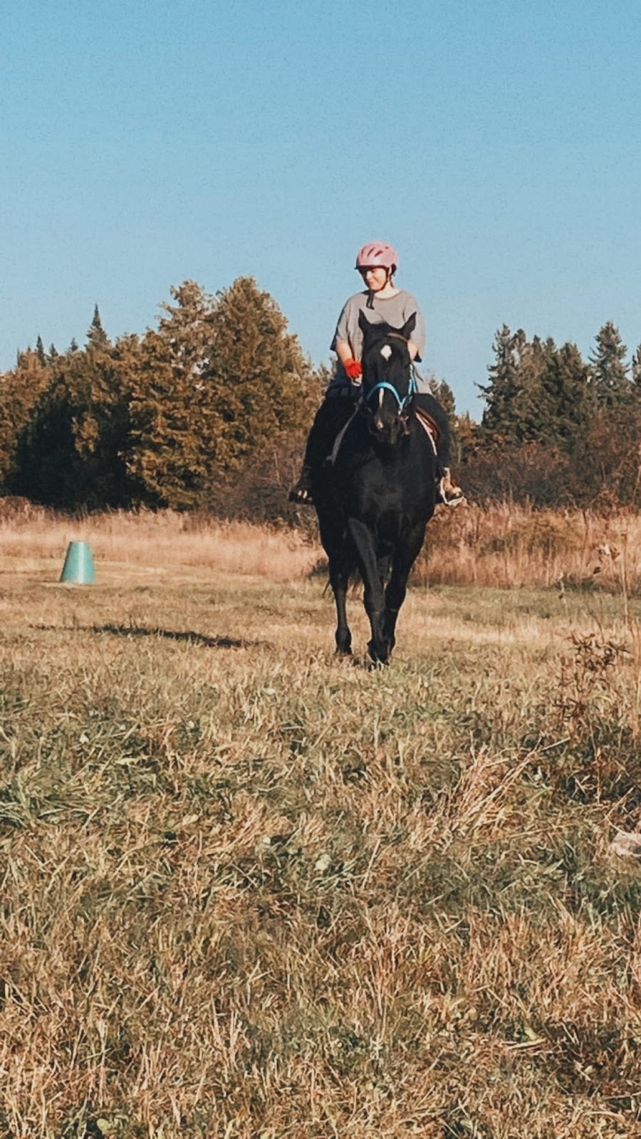 Cloud Cameron | 322 Killarney Bay Rd, Cameron, ON K0M 1G0, Canada | Phone: (705) 464-1192