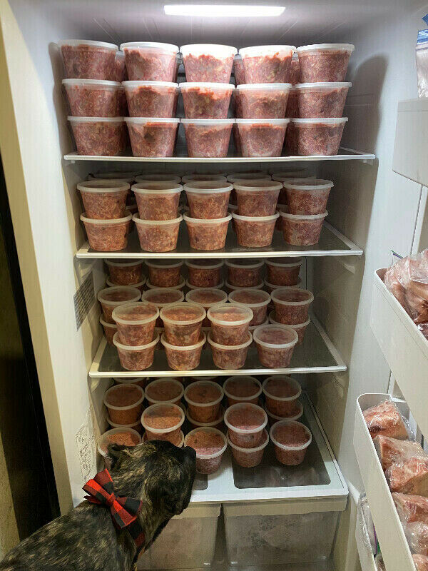 Chameleon & Co Raw Dog Food Boutique | 52 Bartor Rd, North York, ON M9M 2G5, Canada | Phone: (647) 404-7291