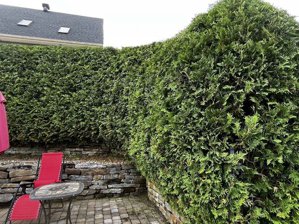 Arboriculture St-Germain | 1296 Rang Saint-Achille, Saint-Ubalde, QC G0A 4L0, Canada | Phone: (418) 326-0517