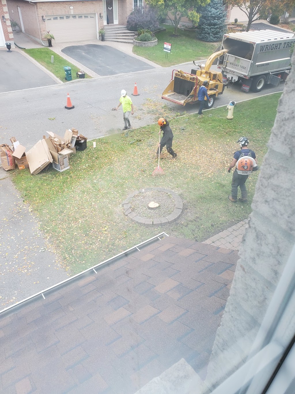 Wright Tree Service | 1265 Kingston Ave, Ottawa, ON K1Z 8K8, Canada | Phone: (613) 898-0698
