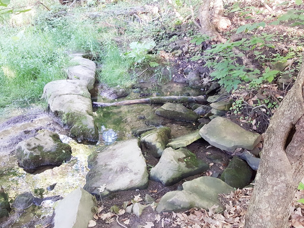Eramosa Karst Conservation Area | Upper Mt Albion Rd, Stoney Creek, ON L8J 3X9, Canada | Phone: (905) 627-1233