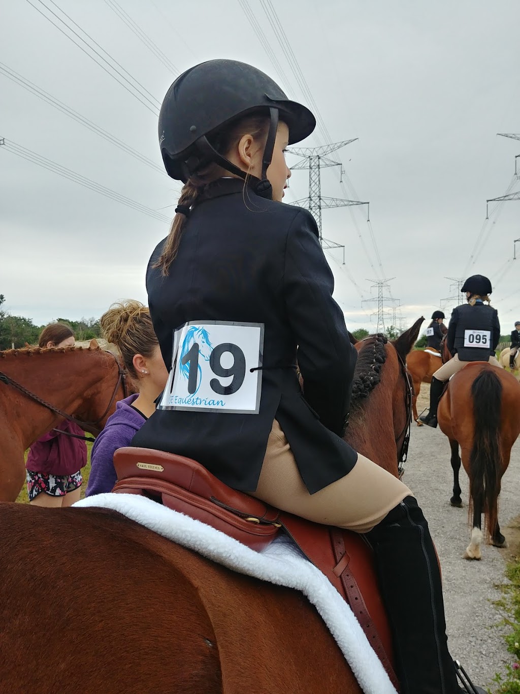 Flat Rock Farm Equestrian | 1350 Shannonville Rd, Shannonville, ON K0K 3A0, Canada | Phone: (613) 661-9028