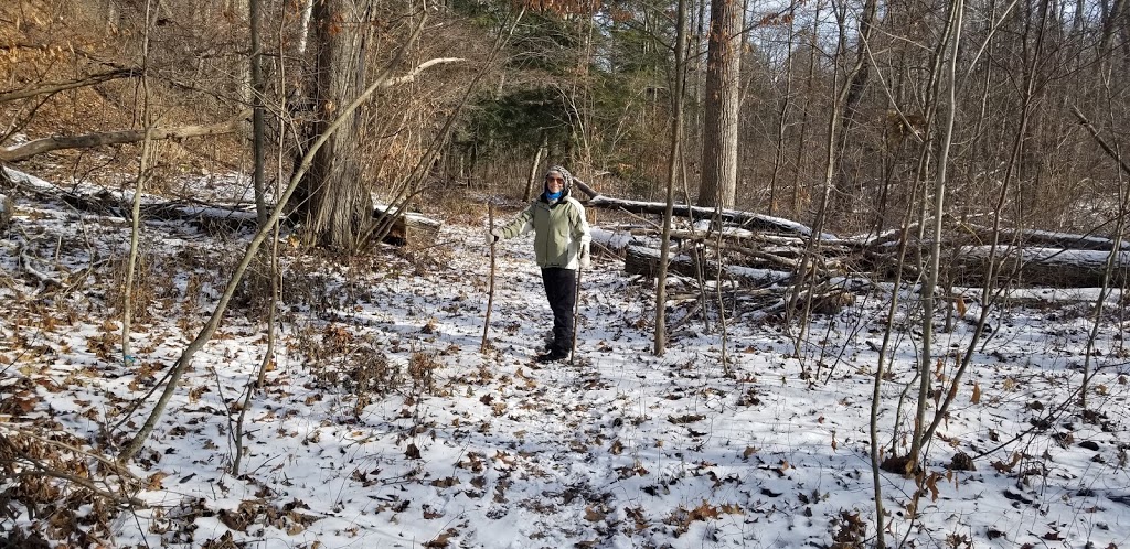 Forested Dunes Nature Reserve | Lambton Shores, ON N0M 2L0, Canada