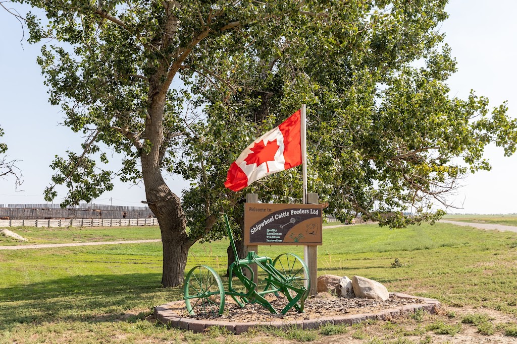Shipwheel Cattle Feeders Ltd. | 162064 Twp Road 104, Taber, AB T1G 2C9, Canada | Phone: (403) 223-4333
