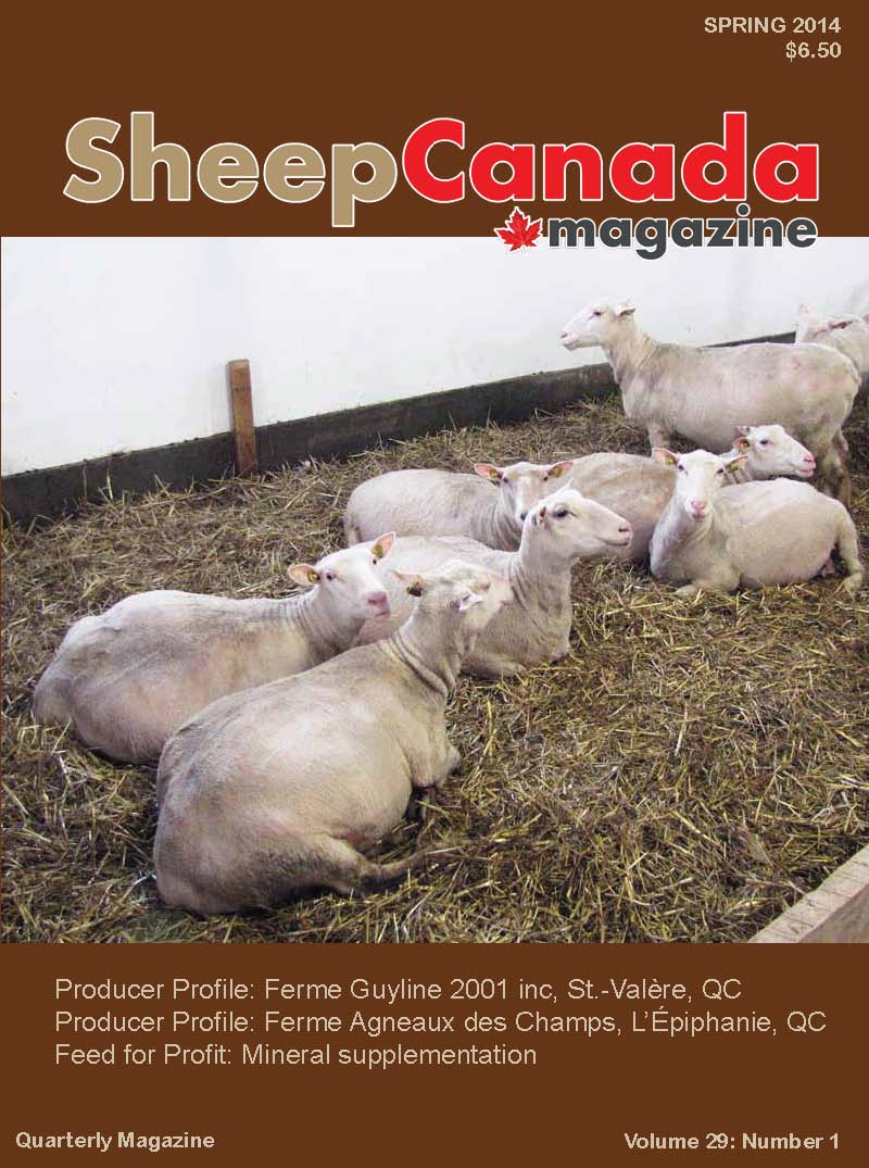 Sheep Canada Magazine | Box 1041, Ste Anne, MB R5H 1C1, Canada | Phone: (204) 371-2959