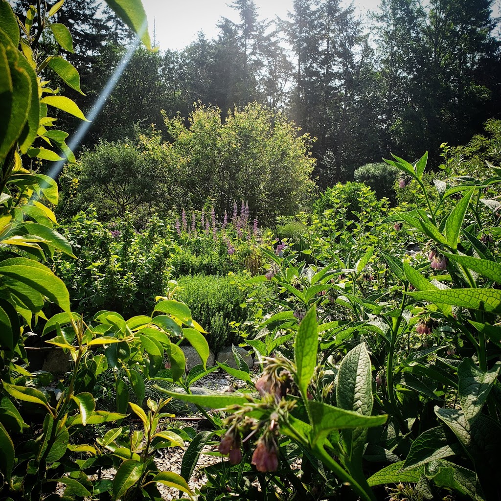 Edible Landscapes Design Ltd | 2898 Austin Ave, Victoria, BC V9A 2K7, Canada | Phone: (778) 747-3318