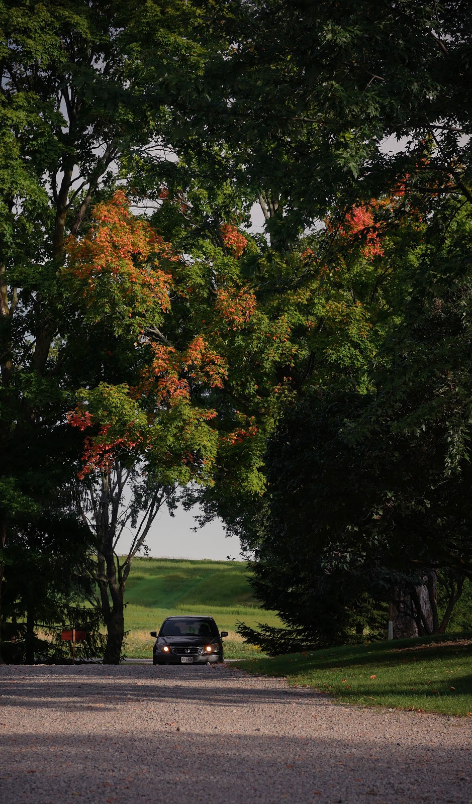 The Ginkgo Tree | C690 Concession 13 Brock, Cannington, ON L0E 1E0, Canada | Phone: (905) 953-6077