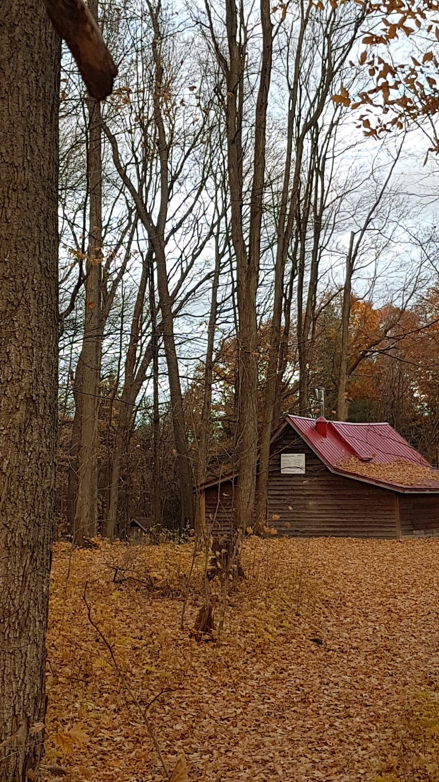 Britannia Farm Sugar Bush | McLaughlin Rd, Mississauga, ON L5R 4G3, Canada