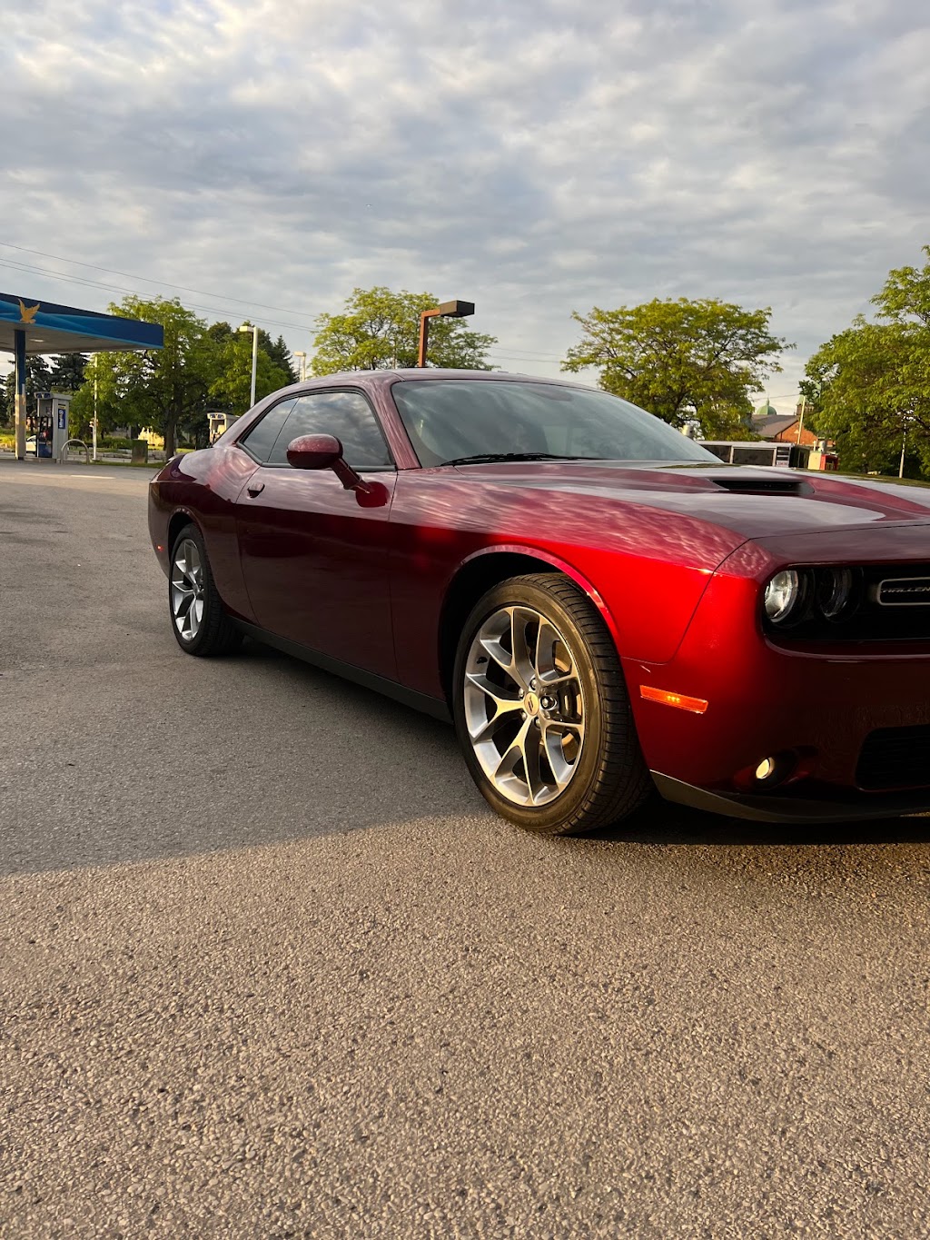 Oshawa Tint | 678 Simcoe St S unit 5, Oshawa, ON L1H 4K3, Canada | Phone: (647) 695-7215