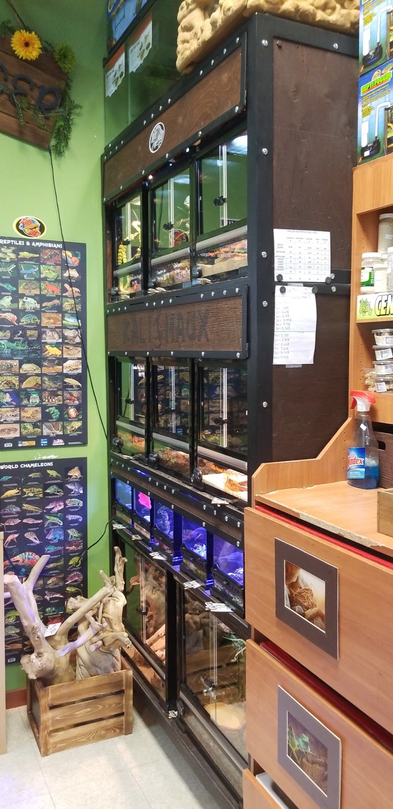 Kali-Maux | 720 Montée Paiement, Gatineau, QC J8R 4A3, Canada | Phone: (819) 643-3336