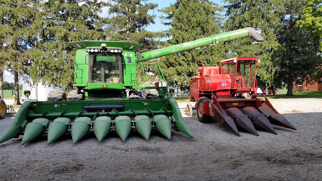 Murgo Farms Ltd | 454499 Trillium Line, Beachville, ON N0J 1A0, Canada | Phone: (519) 421-2828