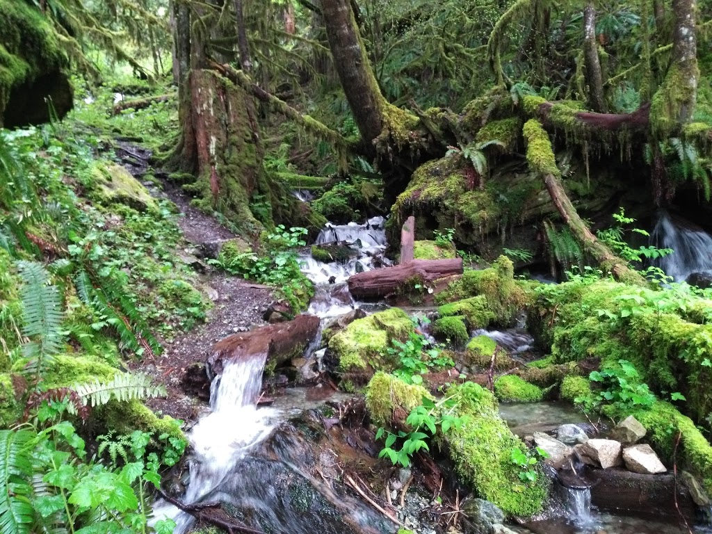 Lake Tyee | 4571 Burpee Hill Rd, Concrete, WA 98237, USA | Phone: (360) 853-7020