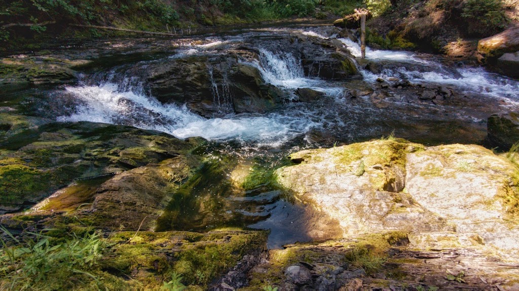 Mount Fernie Provincial Campground | 1M0, Mt Fernie Park Rd, Fernie, BC V0B 1M6, Canada | Phone: (250) 422-3003