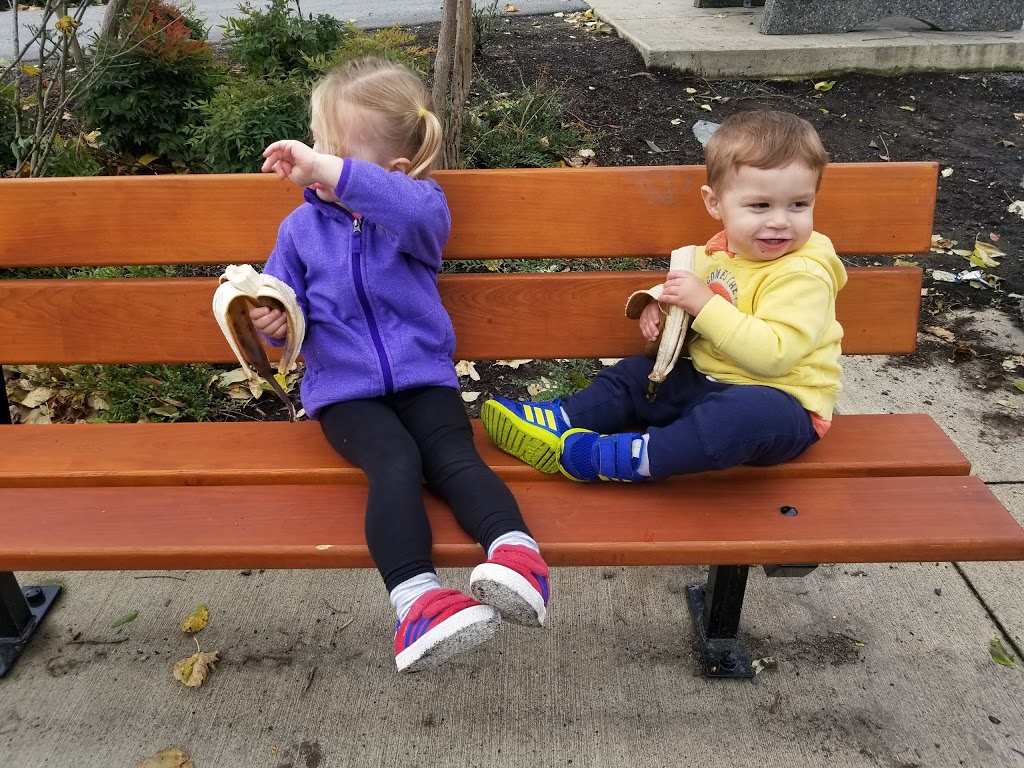 Routley Park | Champaigne Greenway, Langley City, BC V2Y 3H8, Canada