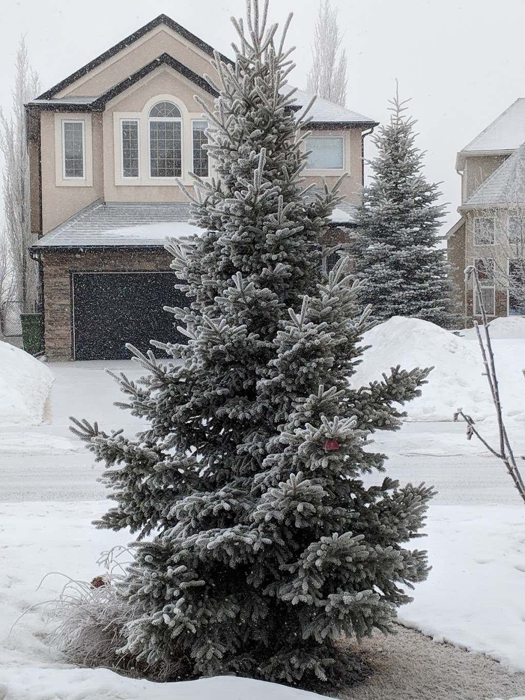 Elmira Park | 46 Elkton Way SW, Calgary, AB T3H 4Y8, Canada