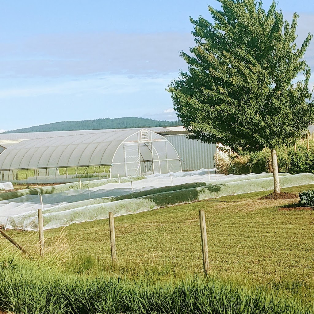 Seasonal Canvas Farm | 34687 Page Rd, Abbotsford, BC V3G 1N8, Canada | Phone: (604) 864-1274
