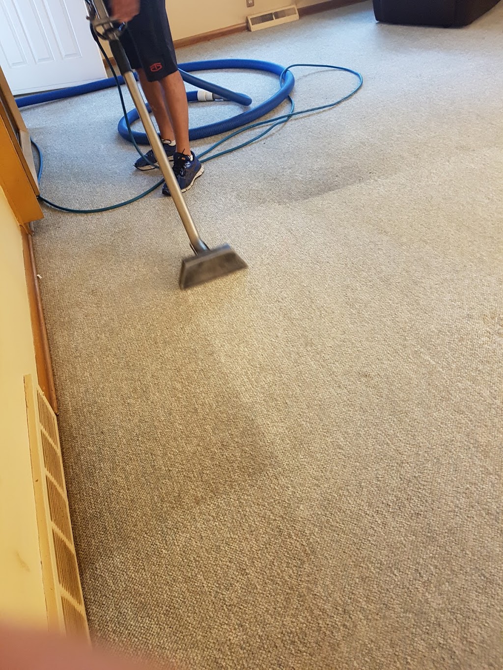 Carpet Cleaning Windsor | Complete Steam Clean | 849 Watson Ave, Windsor, ON N8S 3S9, Canada | Phone: (519) 999-5297