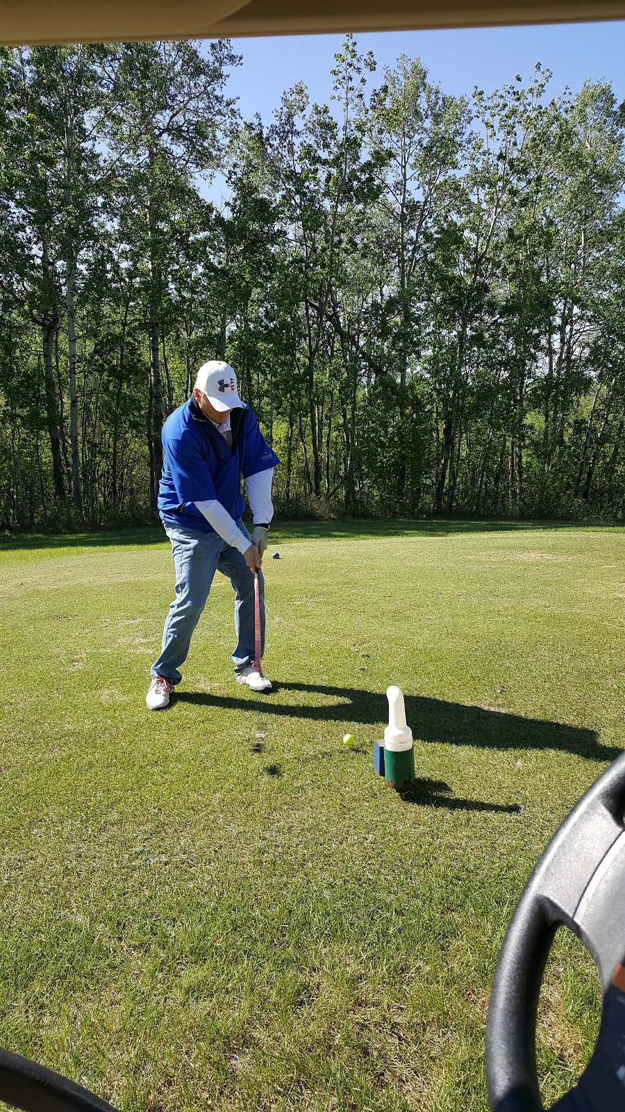 Country Nine Golf Course | Range Rd 213A, Bashaw, AB T0B, Canada | Phone: (780) 372-2427
