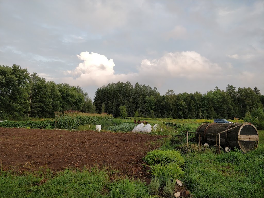 The Whole Villlage | 20725 Shaws Creek Rd, Alton, ON L7K 1L7, Canada | Phone: (519) 941-1099