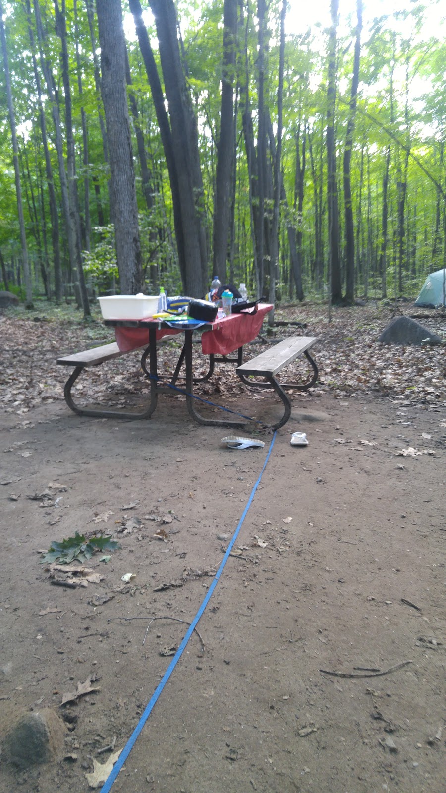 Bear Campground | Tiny, ON L9M 1R2, Canada | Phone: (705) 549-2231