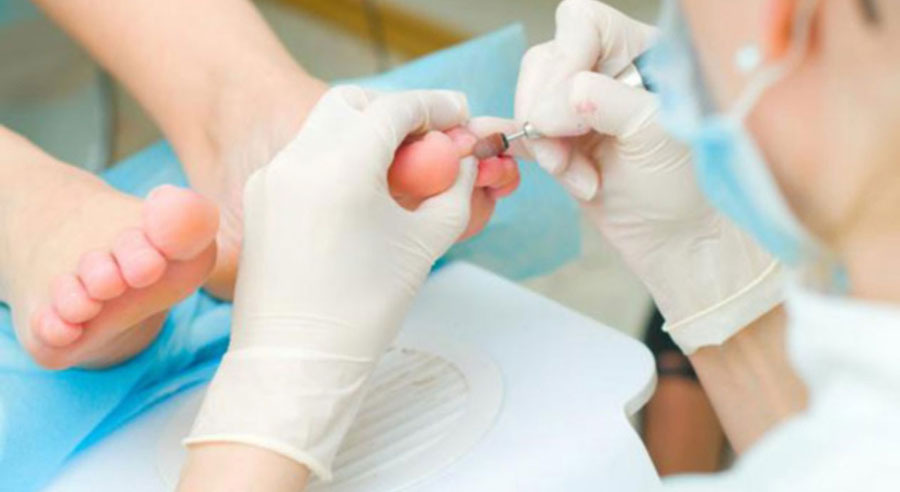 Ô 5 sens santé | 1420 Rue Legendre E # 02, Montréal, QC H2M 1H5, Canada | Phone: (514) 385-1010