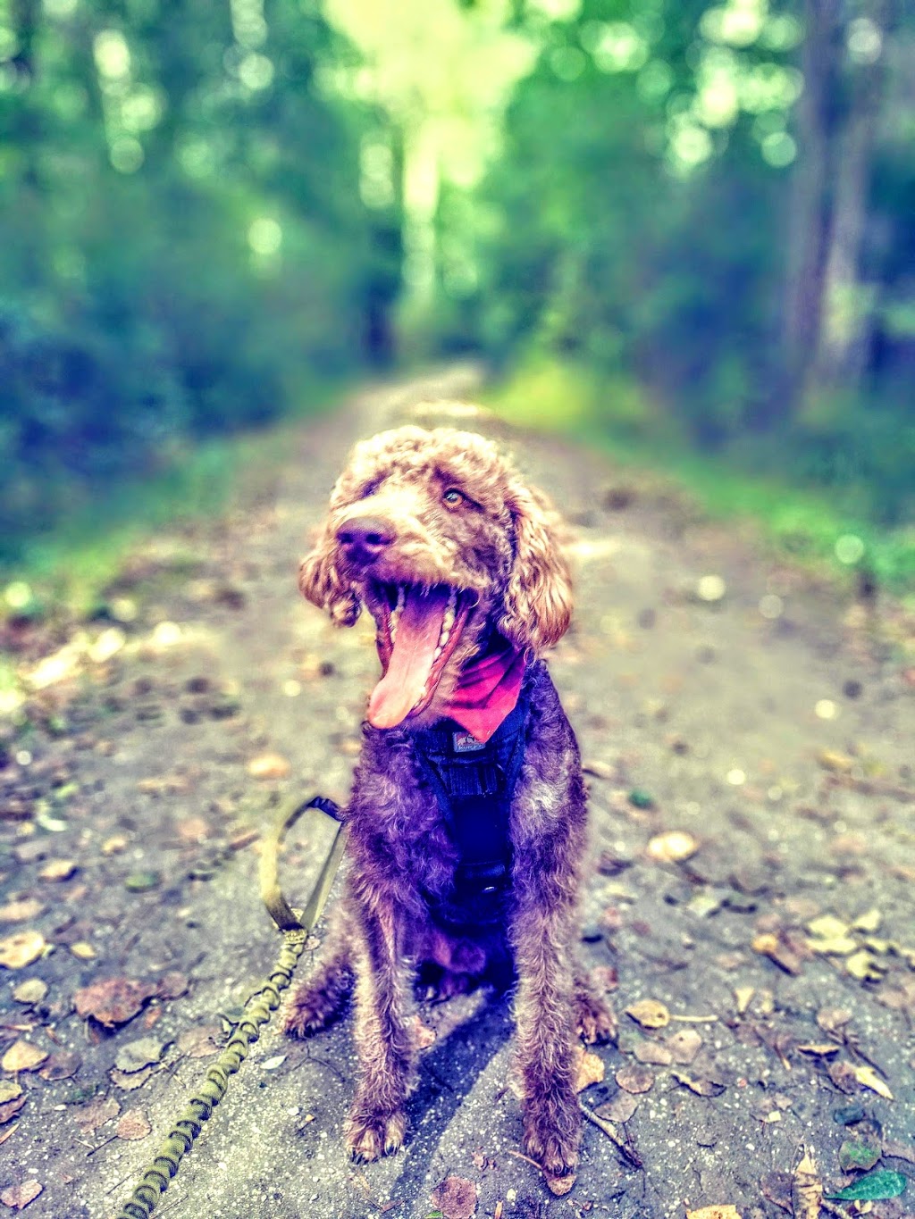 Ruffing It | 345 Concession Rd 10 #349, Port Elgin, ON N0H 2C6, Canada | Phone: (844) 444-7833