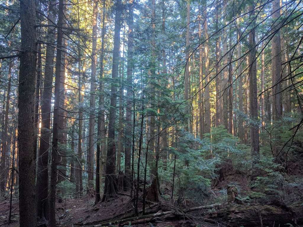 Van Tan Club | Mountain Hwy, North Vancouver, BC V7N 4M4, Canada | Phone: (604) 980-2400
