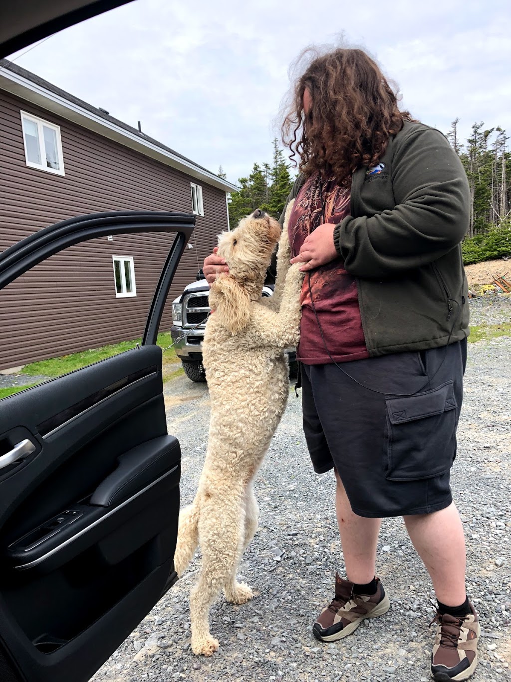 Legges Sunset Inn | Whiteway, NL A0B 1X0, Canada