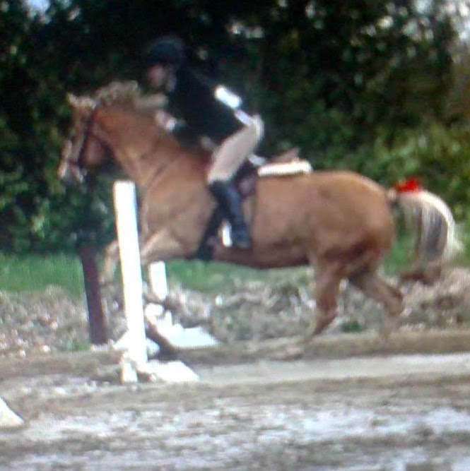 Lilac Lane Equestrian | 2464 Munster Rd, Stittsville, ON K2S 1B8, Canada | Phone: (613) 262-9206