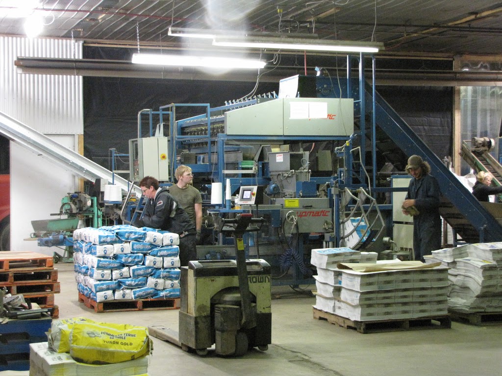 Rutledge Potato Farms | 558280 Mulmur Melancthon Townline, Melancthon, ON L9V 1W9, Canada | Phone: (519) 925-6596