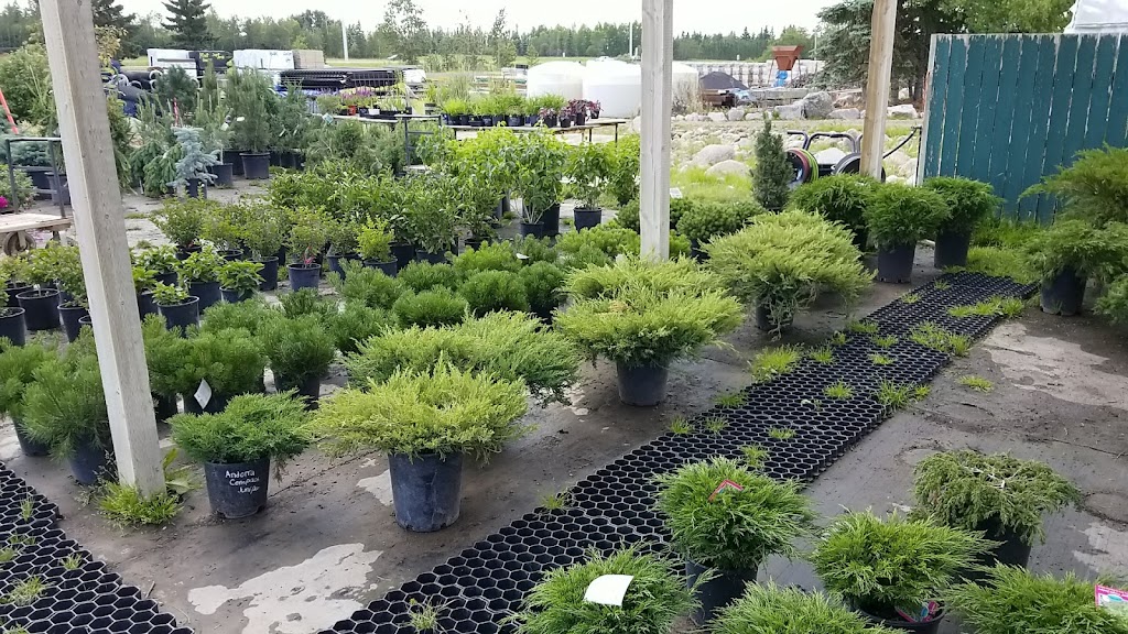 Classic Landscapes Tree Farm | 23016, AB-14, Sherwood Park, AB T8B 1E4, Canada | Phone: (780) 410-9911