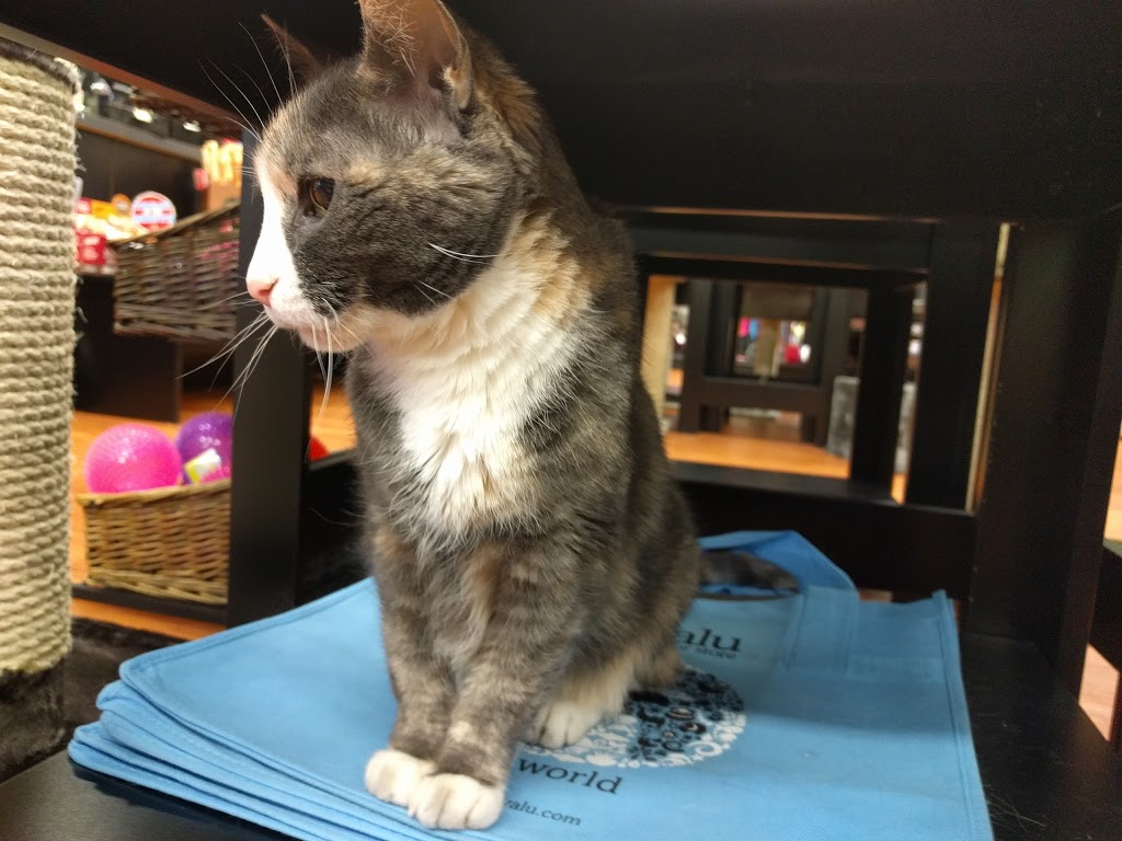 Pet Valu | 1670 Kenaston Blvd, Winnipeg, MB R3P 2M6, Canada | Phone: (204) 488-0100