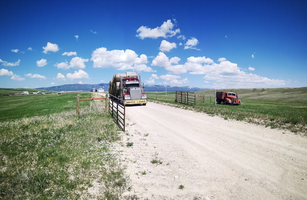 Vandenberg Hay Farms | AB-519, Nobleford, AB T0L 1S0, Canada | Phone: (403) 824-3010