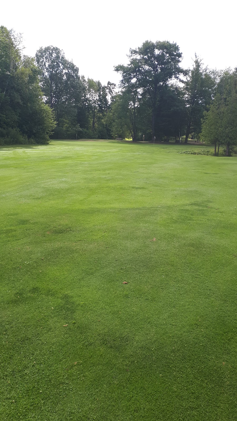 Cedar Valley Golf Course | Essa, ON L0L 2N0, Canada | Phone: (705) 733-3751