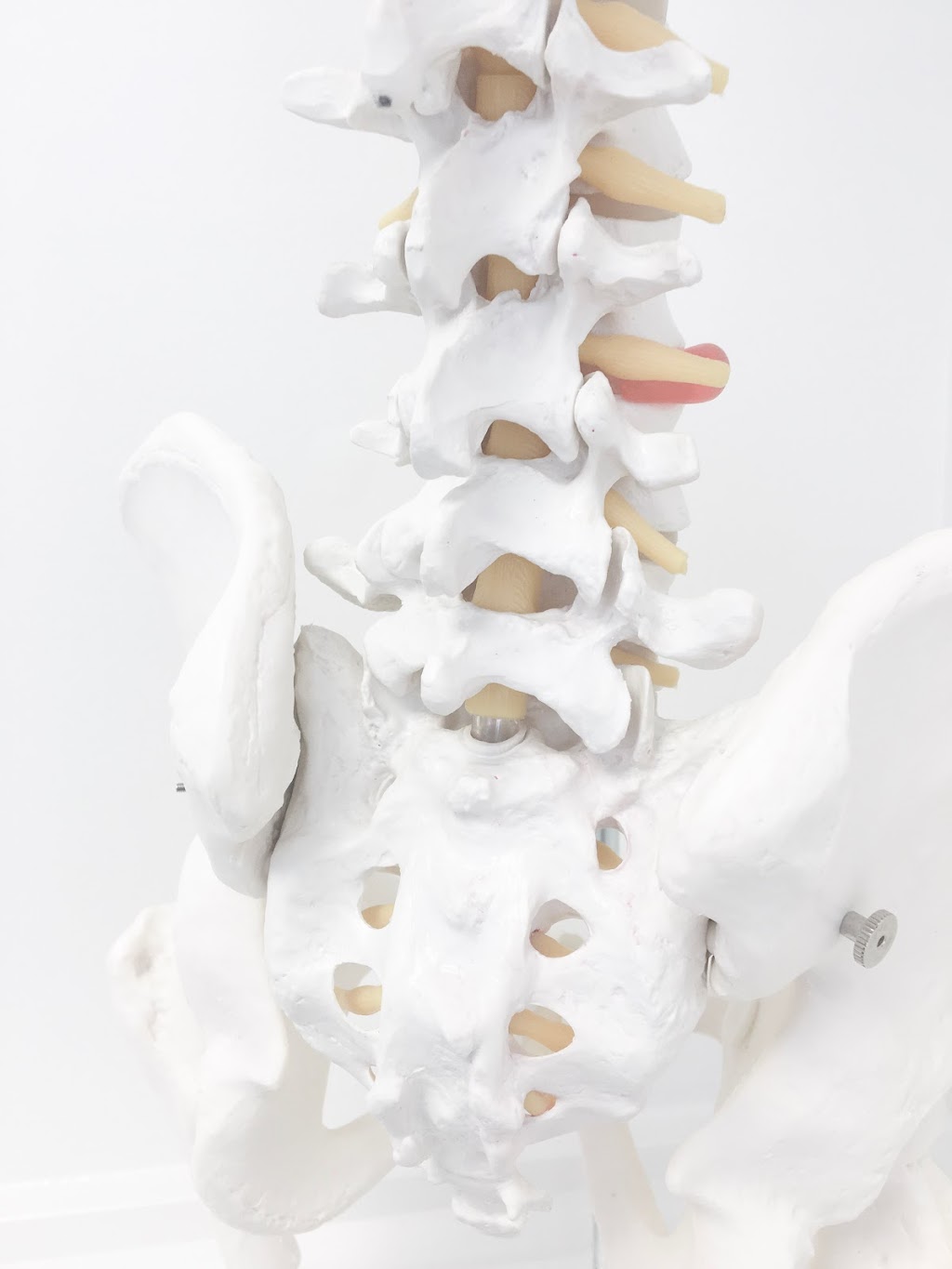 Muskoka Lakes Chiropractic | 241 Brock St, Gravenhurst, ON P1P 1H4, Canada | Phone: (705) 706-1779