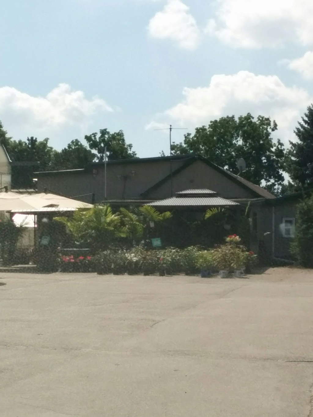 Ryerse S Garden Gallery 777 Norfolk St N Simcoe On N3y 3r6 Canada