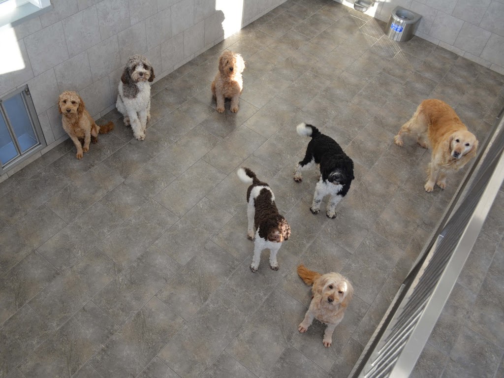 Doodle Creek | 7138 Road 169, Atwood, ON N0G 1B0, Canada | Phone: (519) 721-9510