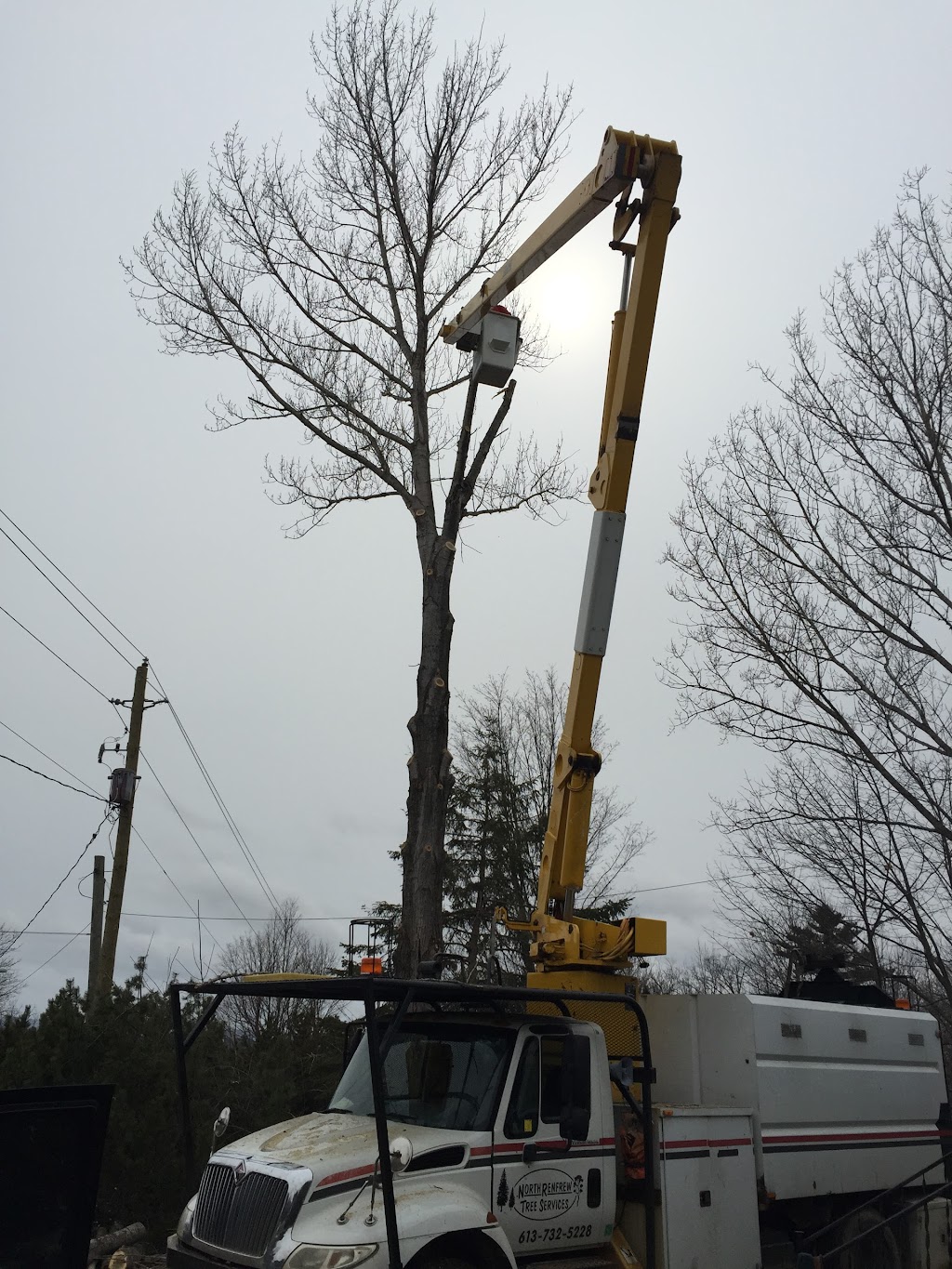 North Renfrew Tree Services Ltd | 11958 Round Lake Rd, Pembroke, ON K8A 6W8, Canada | Phone: (613) 732-5228