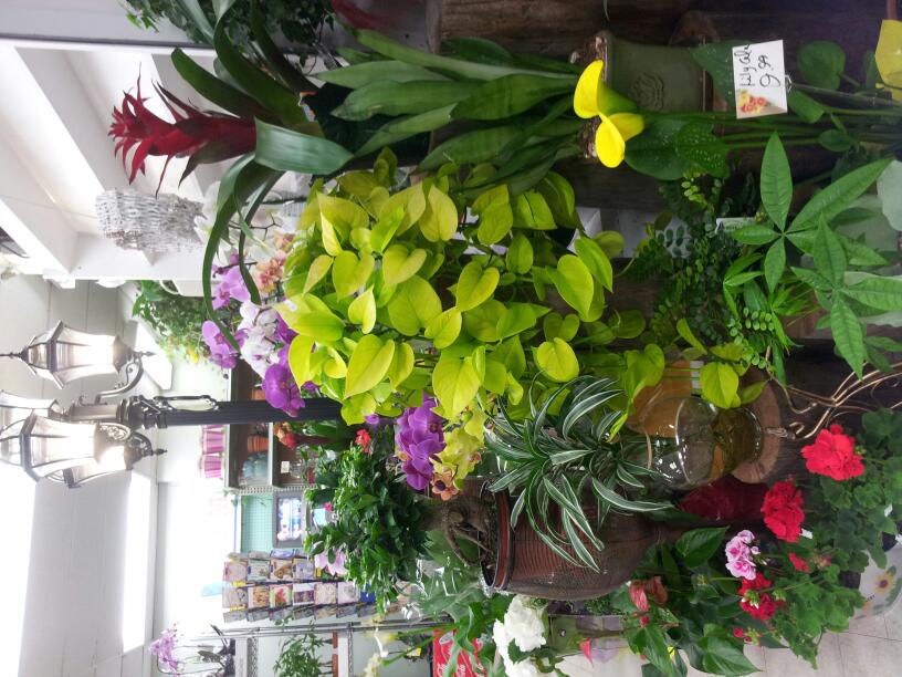 Maillardville Market 152 | 952 Brunette Ave, Coquitlam, BC V3K 1C9, Canada | Phone: (604) 522-3030