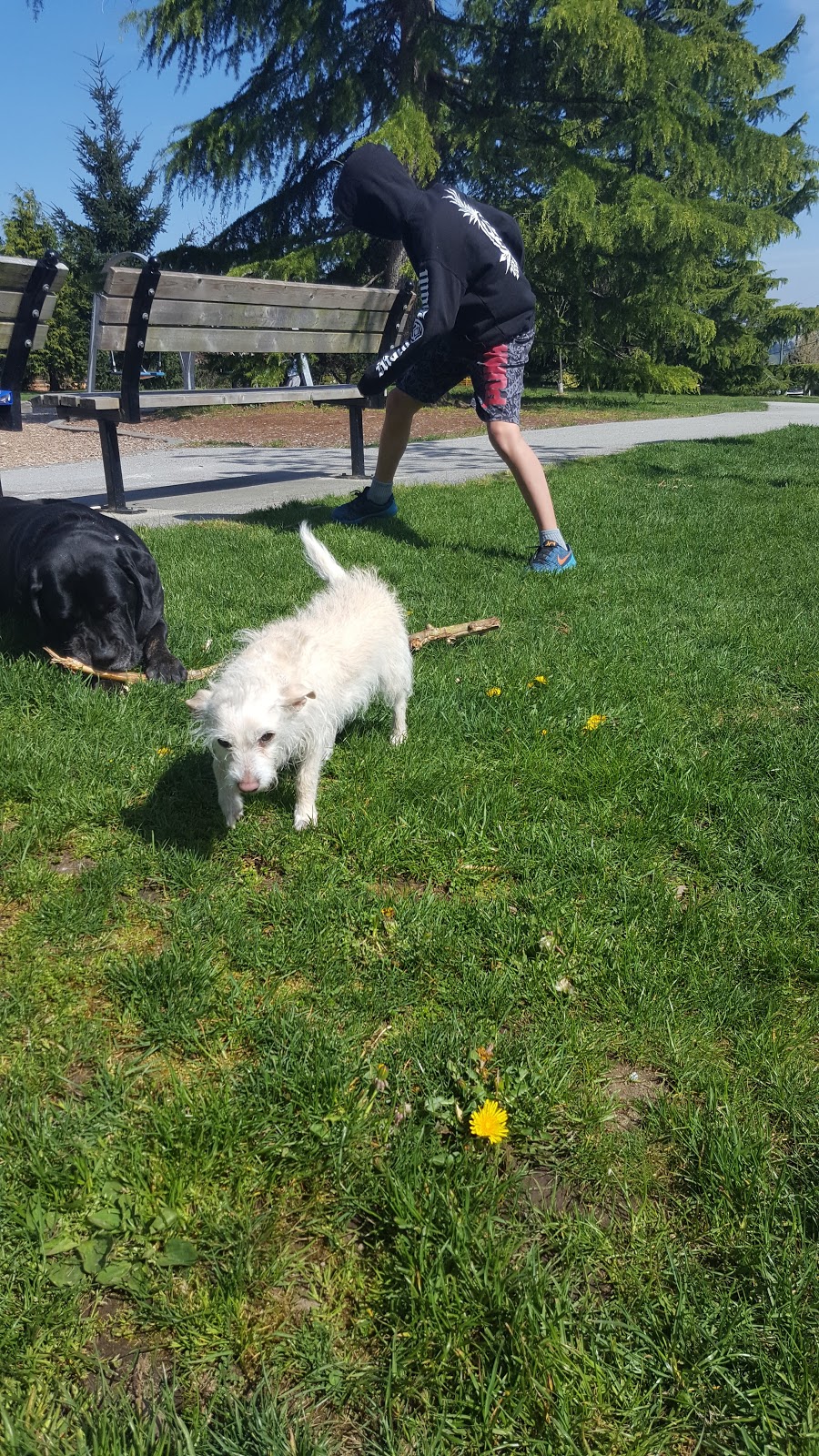 Blumsen Park | 15473 34 Ave, Surrey, BC V3S 0G4, Canada | Phone: (604) 591-4011