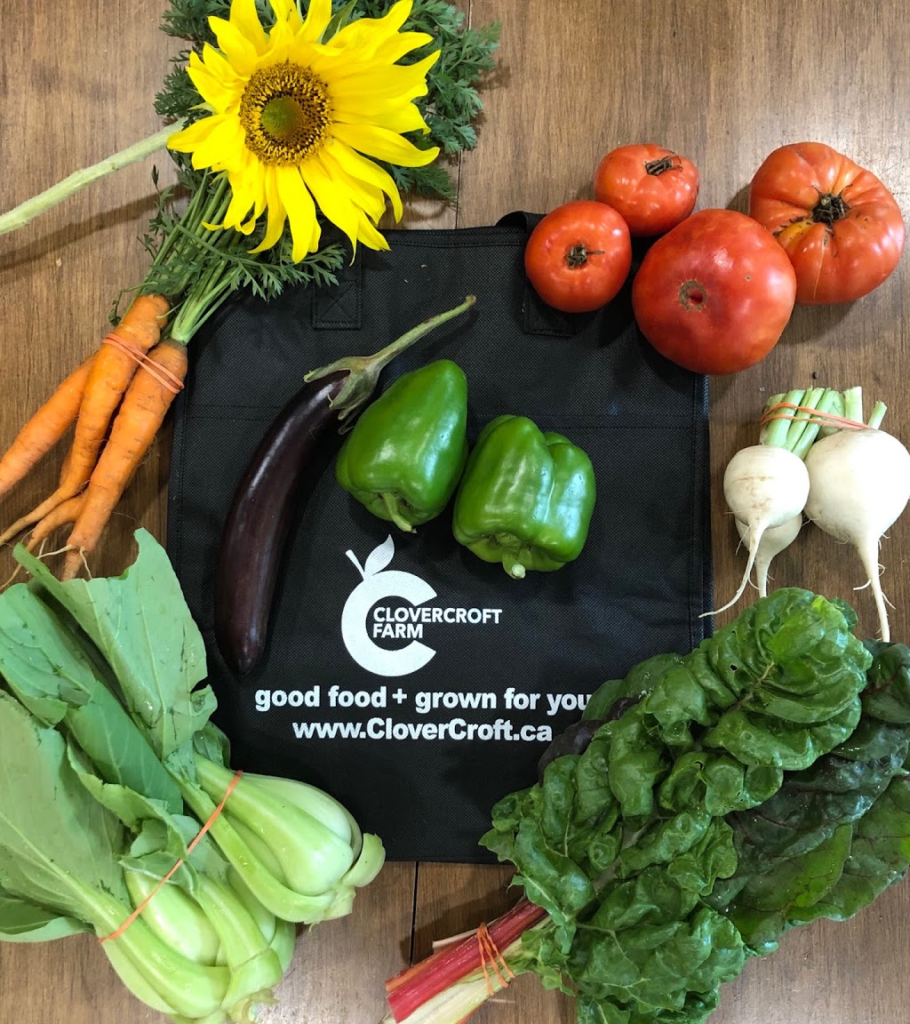 CloverCroft Farm | 285 Ayr Rd, Paris, ON N3L 3E2, Canada | Phone: (226) 922-7892