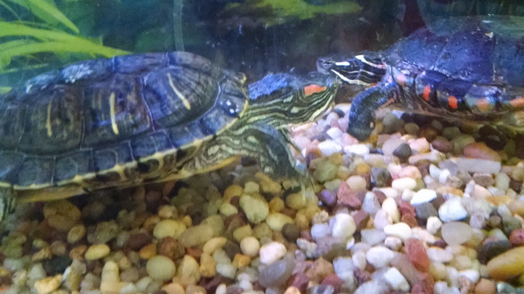 Nature Center | 31300 Metro Pkwy, Harrison Charter Township, MI 48045, USA | Phone: (586) 463-4332
