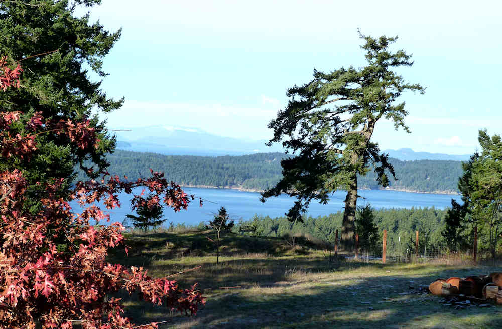 Orcas Oasis Vacation Rental | 421 Scott Hill Road, Orcas, Eastsound, WA 98245, USA | Phone: (360) 376-4646