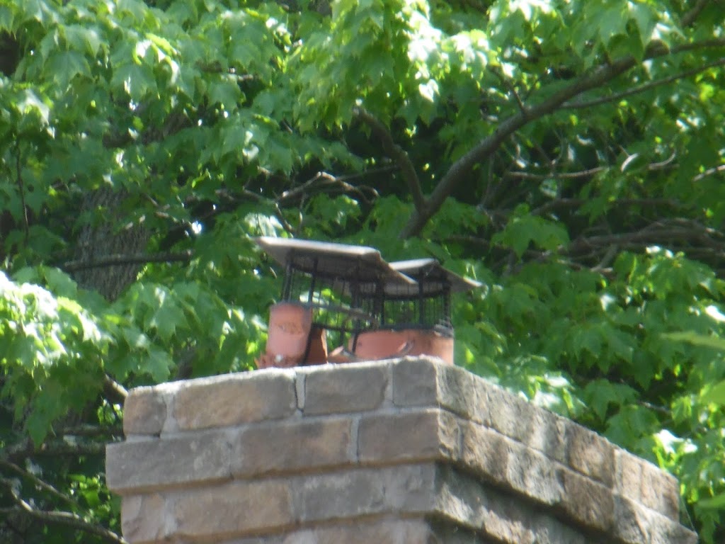 WellSwept Chimneys - Installation, Sweep and Inspections | 2510 Reeves Rd, Victoria Harbour, ON L0K 2A0, Canada | Phone: (705) 300-1243