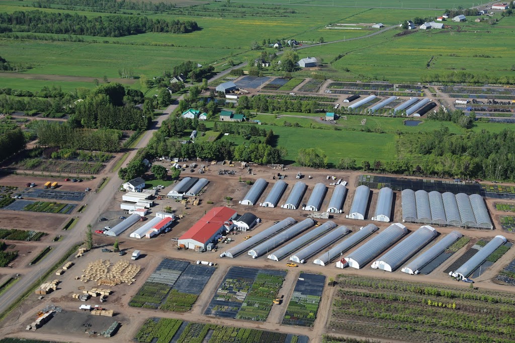 Multiplants | 440 Rang Bois-Franc, Saint-Apollinaire, QC G0S 2E0, Canada | Phone: (418) 881-2477