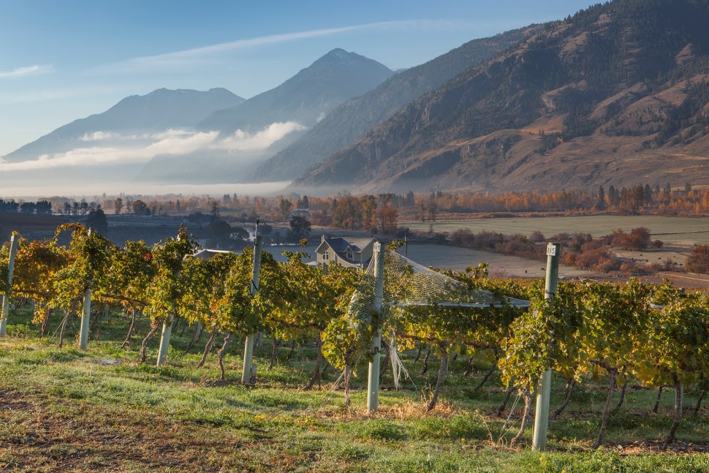 Seven Stones Winery | 1143 BC-3, Cawston, BC V0X 1C3, Canada | Phone: (250) 499-2144