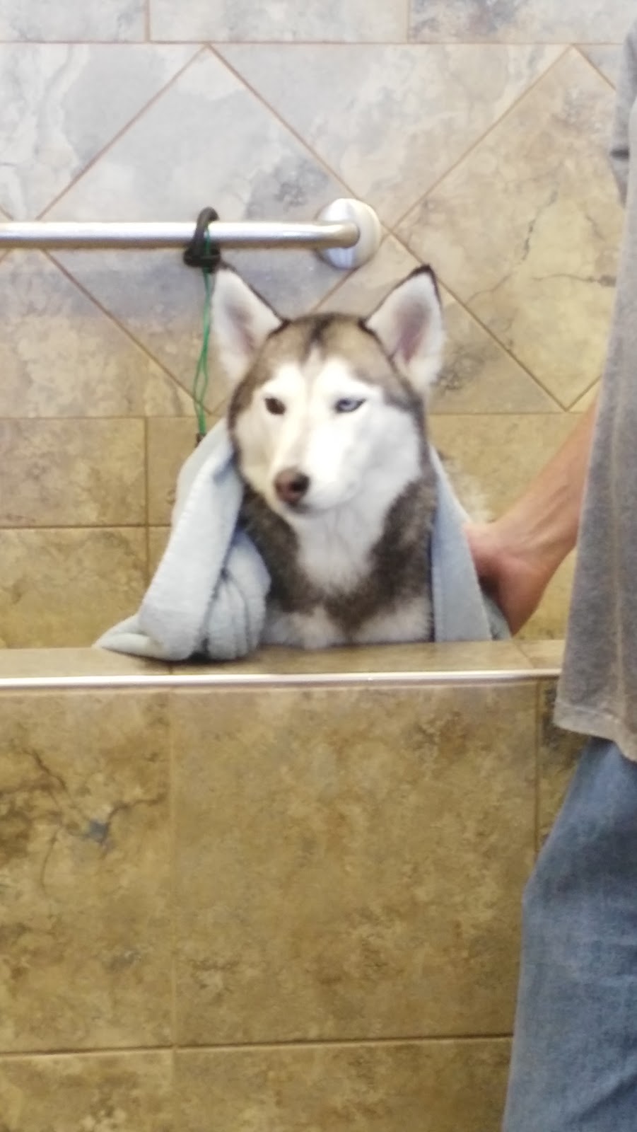 Pet Valu | 619 Victoria St W, Whitby, ON L1N 0E4, Canada | Phone: (905) 430-4738